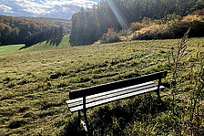 Eine Bank steht in einer sonnendurchfluteten Landschaft © HG Scharf Eine Bank steht in einer sonnendurchfluteten Landschaft © HG Scharf