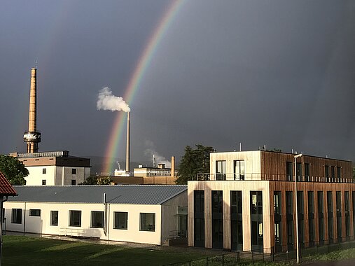 K2017-06-28-Fagus-04-Regenbogen