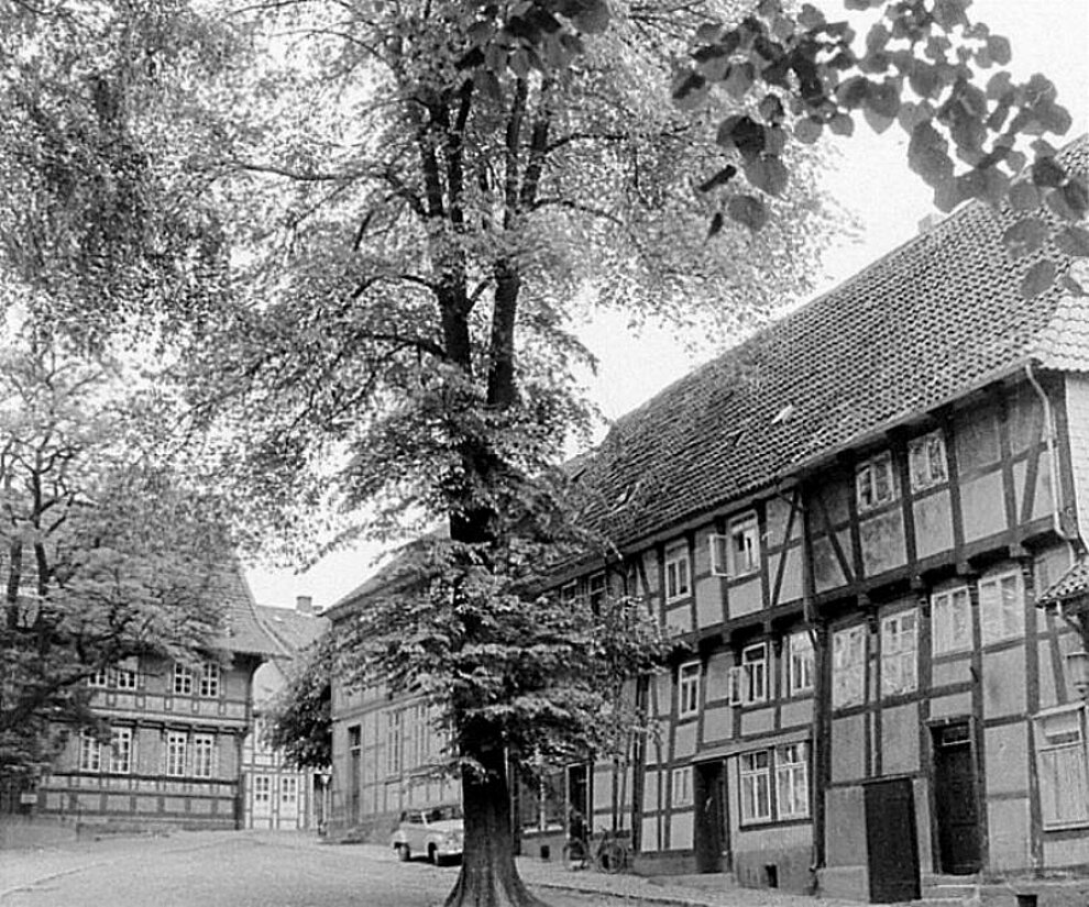 Blick vom Kirchhof auf das Tiermuseum in den 1950er Jahren. Kirchhof1950er-01