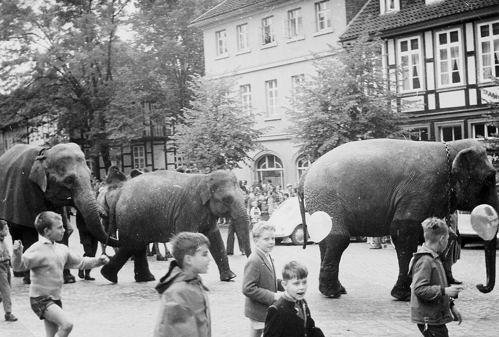 Ein Bild aus dem Jahr 1961. Die Tierhandelsfirma Ruhe ist in Alfeld groß geworden und handelt international mit Tieren. Für die Alfelder gehörenTiere aus aller Welt zum Stadtbild. Solche interessanten Erinnerungen finden sie selbstverständlich auf der alt-alfeld.de Marktplatz1961-04-CirkusFischer