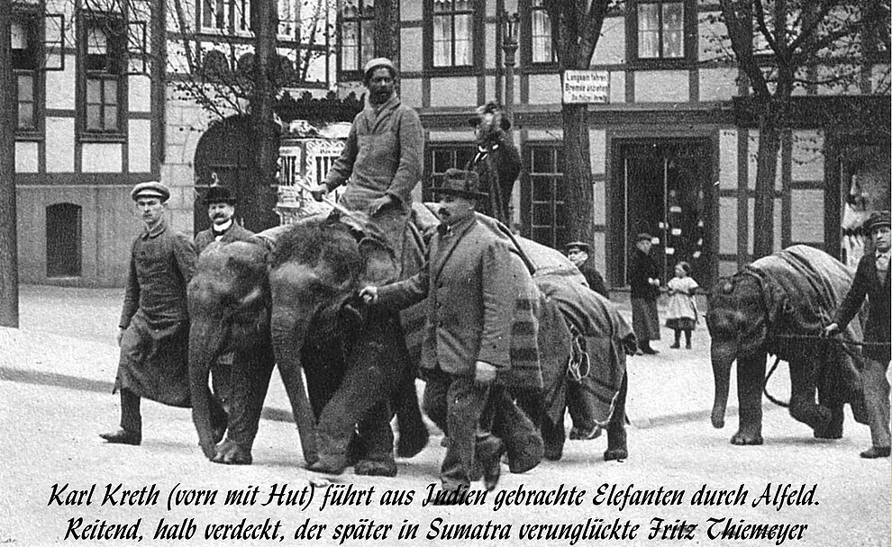 tiere_-_praesentation