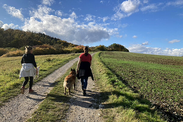 Wandern im Herbst © HG Scharf