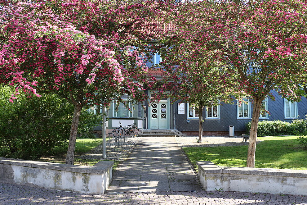 Im Frühling voller Blüten: der gemeinsame Eingang der Bücherei und des Ordnungsamtes der Stadt Alfeld in der Perkstraße 2 © Archiv Stadt Alfeld (Leine) Ordnungsamt und Bücherei in der Perkstraße 2 © Archiv Stadt Alfeld (Leine)