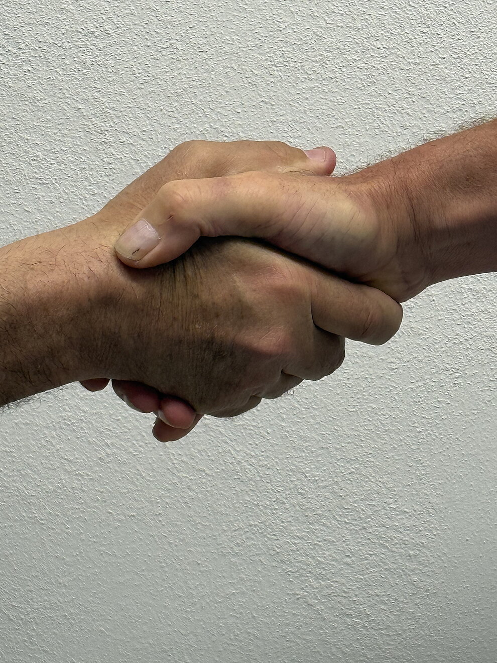 Bild von zwei Händen, zwei Menschen reichen sich die hand, einigen sich, vertragen sich...© Stadt Alfeld (Leine) streitschlichtung_-_zwei_Haende__c_hgscharf