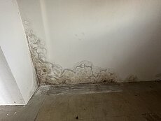 IMG_0146