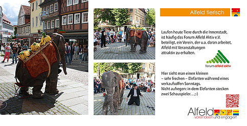 25_Alfeld_tierisch_340x173_19