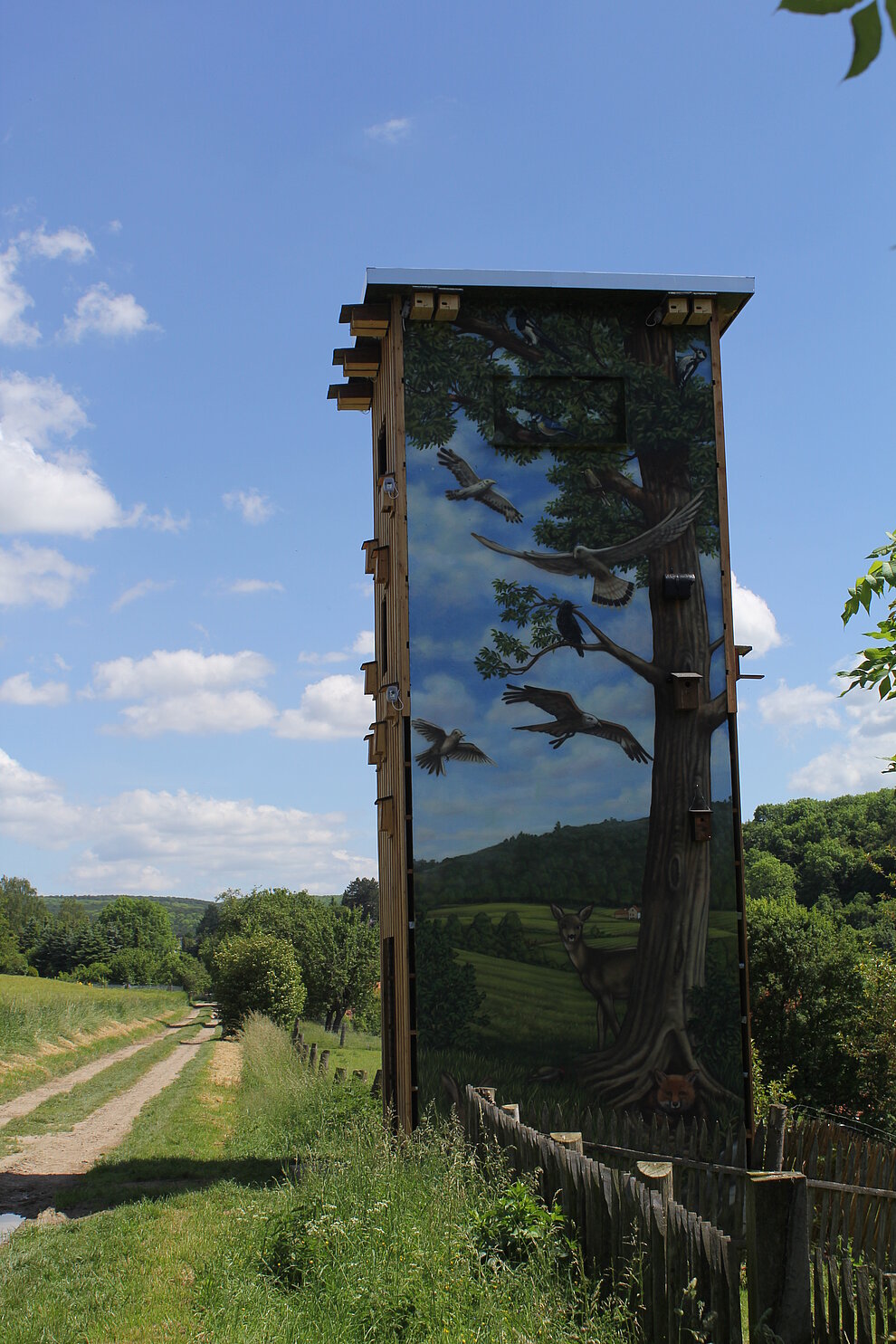 Der Entdeckerturm bei Langenholzen Der Entdeckerturm bei Langenholzen