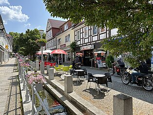 IMG_1530