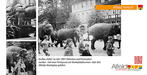 25_Alfeld_tierisch_340x173_08