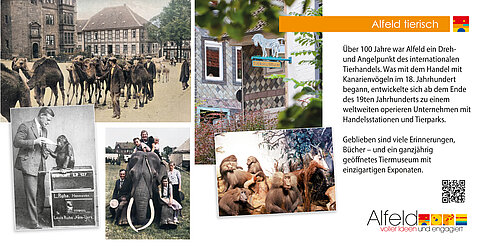 25_Alfeld_tierisch_340x173_22