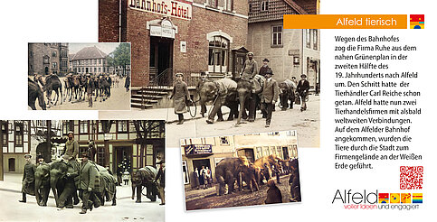 25_Alfeld_tierisch_340x173_05