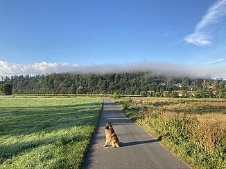 Blick auf dem Schlehberg, Leine-Heide-Radweg bei Alfeld © HG Scharf Blick auf dem Schlehberg, Leine-Heide-Radweg bei Alfeld Mountainbikereifen © HG Scharf