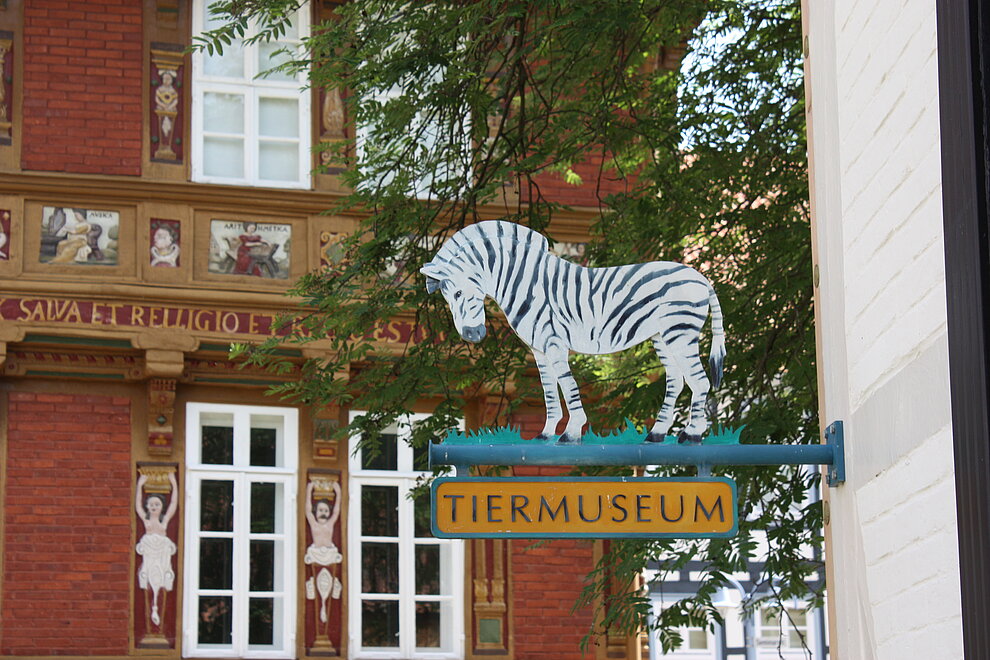 Das Tiermuseum © Archiv Stadt Alfeld Das Tiermuseum © Archiv Stadt Alfeld