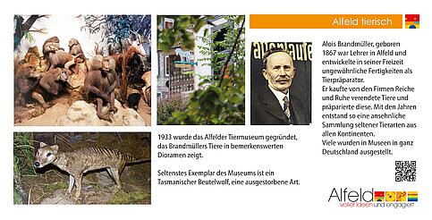 25_Alfeld_tierisch_340x173_17